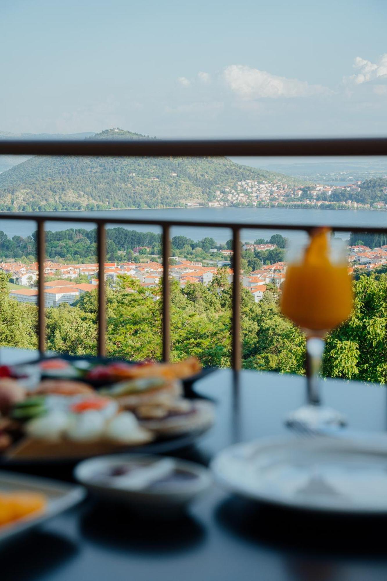 Enastron View Hotel Kastoria Extérieur photo